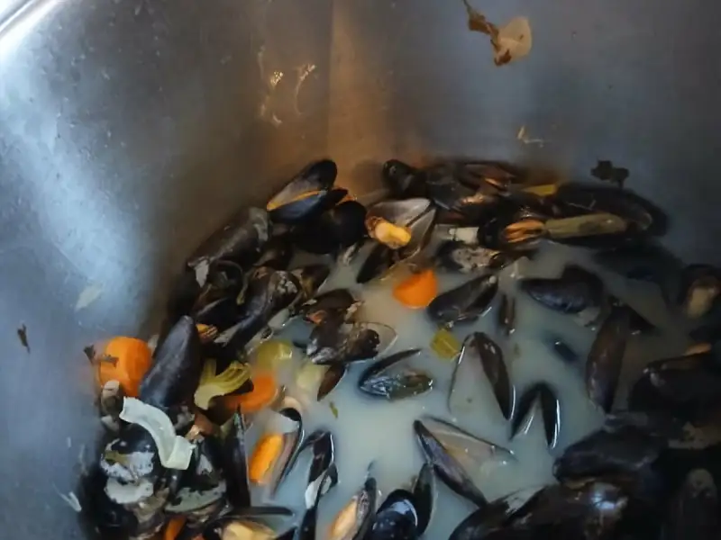 Mosselen in witte wijn met groenten, wortelen en prei, in een grote inox kookpot na het koken